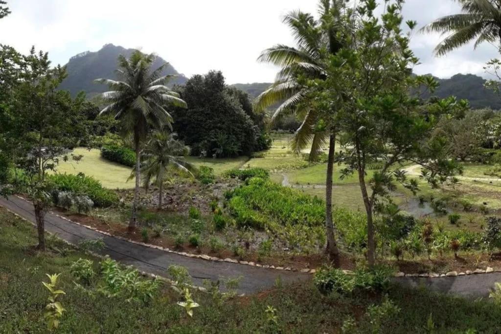 Duplex En Bord De Mer Fare Tahitea Pension Taputapuapea Екстер'єр фото