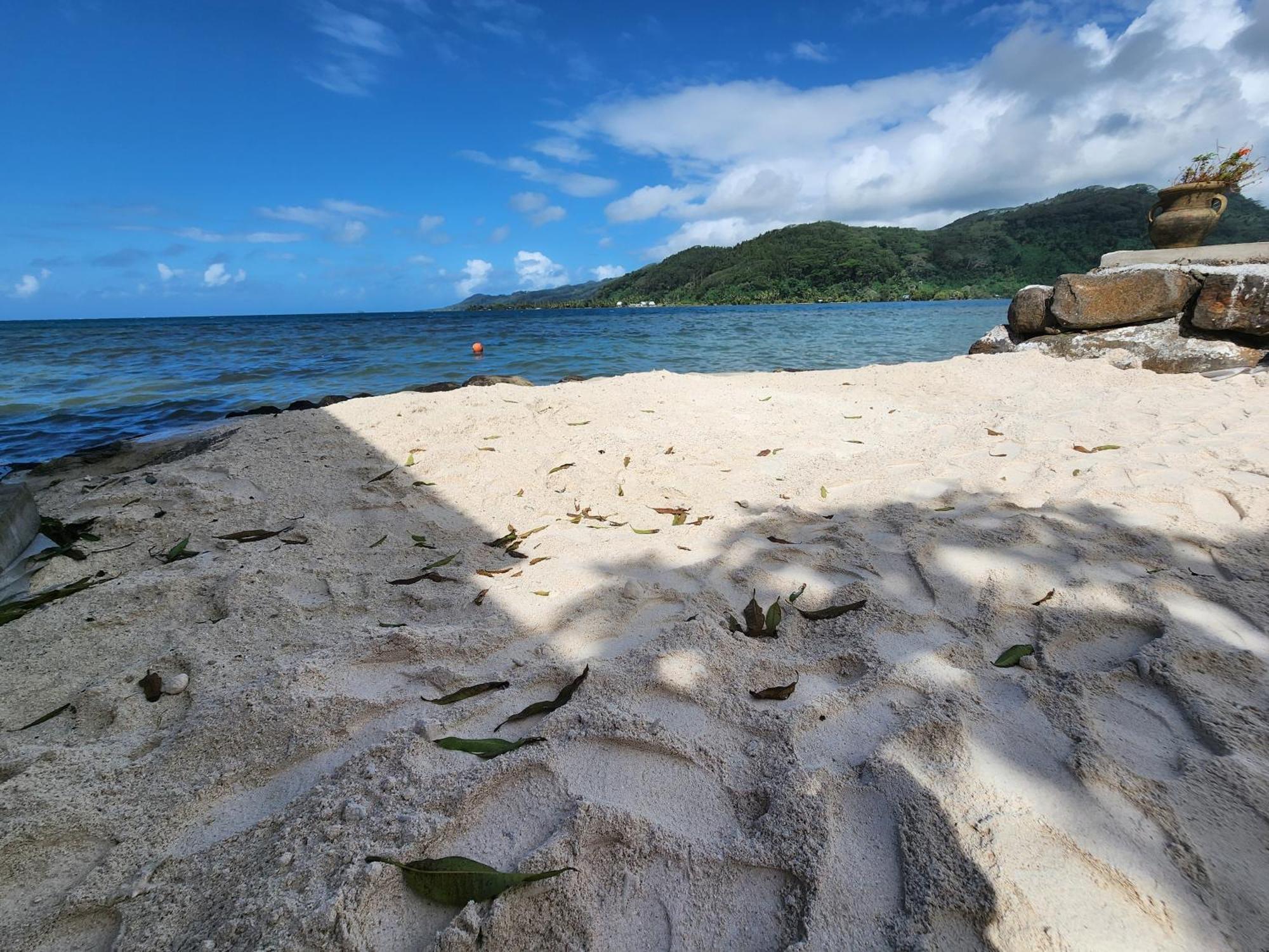 Duplex En Bord De Mer Fare Tahitea Pension Taputapuapea Екстер'єр фото